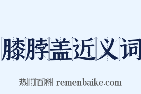 膝脖盖近义词是什么意思的图片
